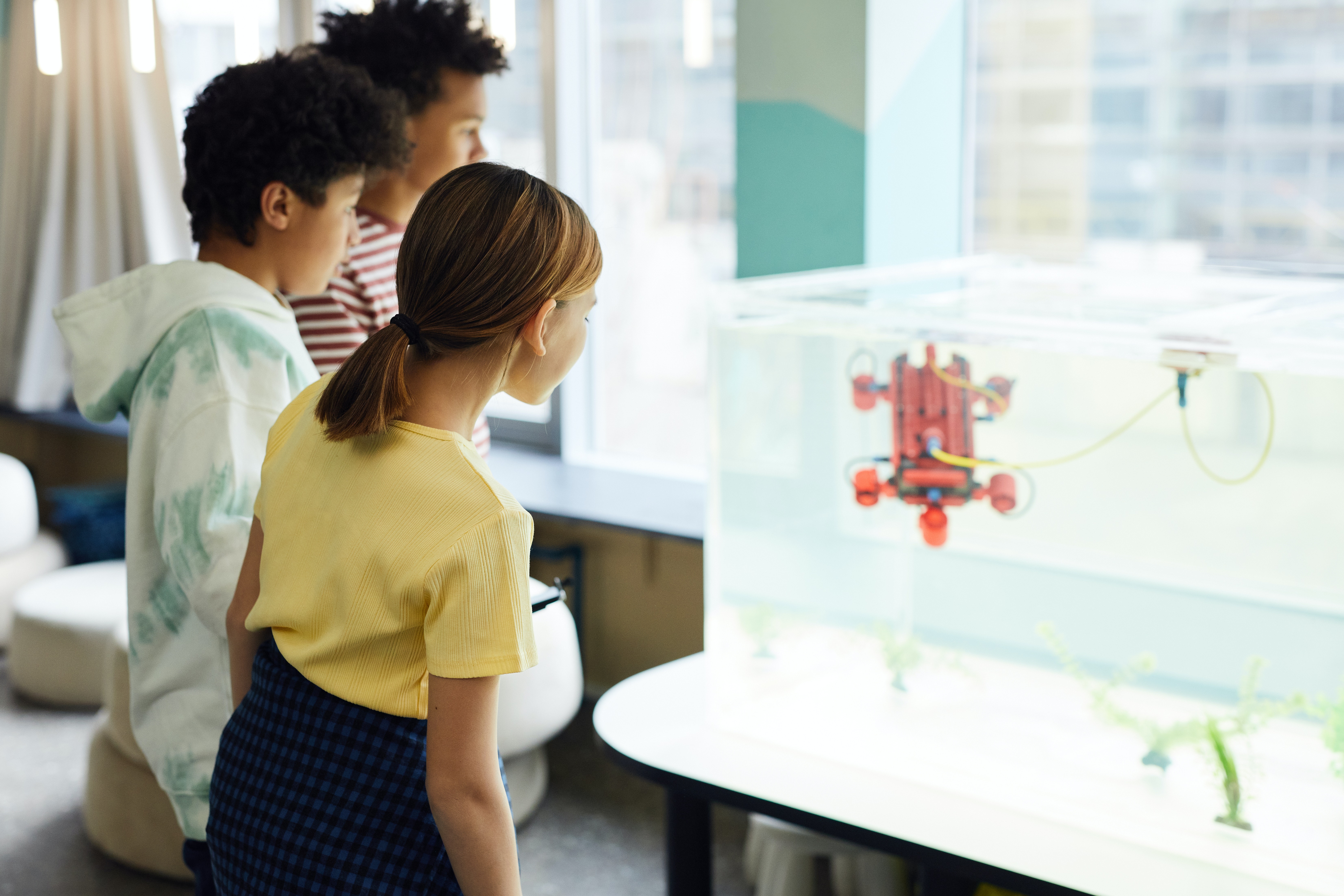 3D Printers for Schools